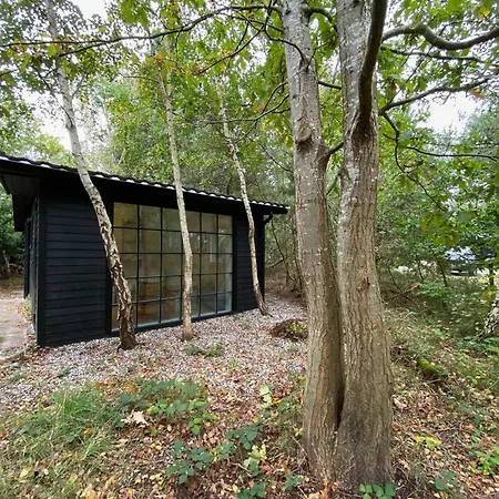 Nature-inspired Summer House Close To The