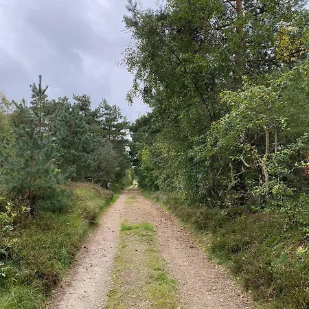 Semesterbostad Nature-inspired Summer House Close To The *